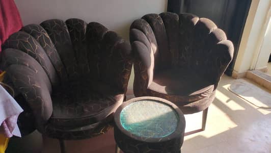 Sofa couches