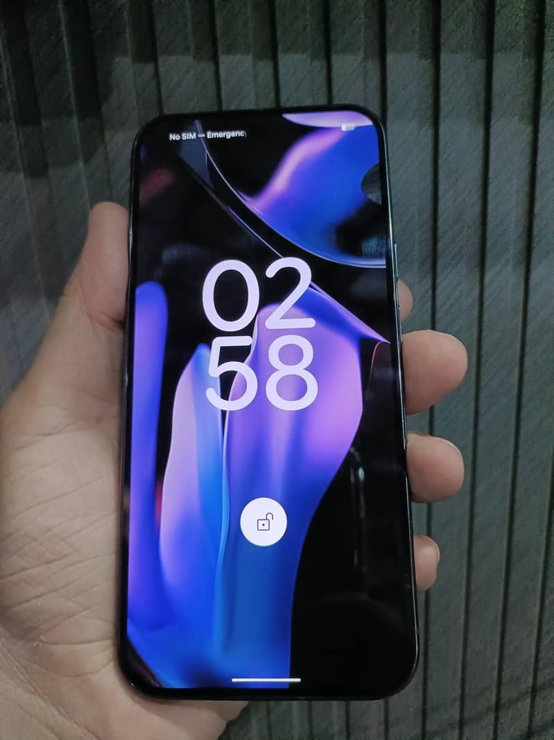 Google Pixel 9 Pro XL 1