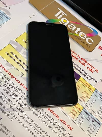 Apple iPhone X