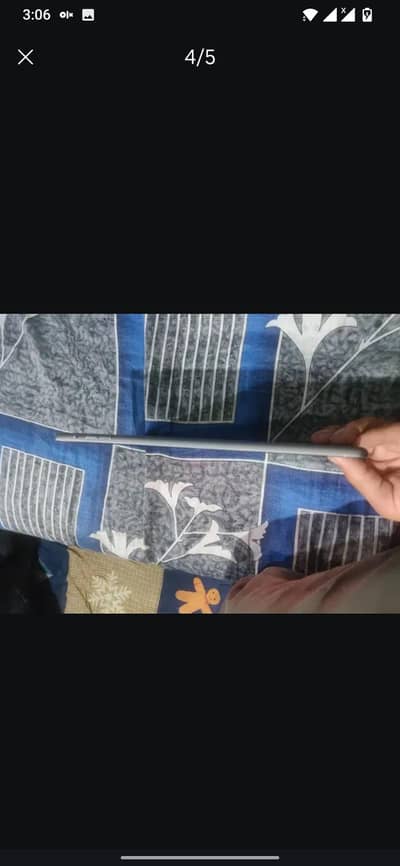 new lena hai