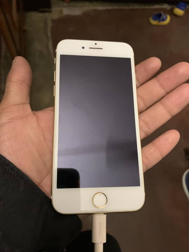 Apple iPhone 7 1
