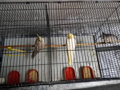 For sale