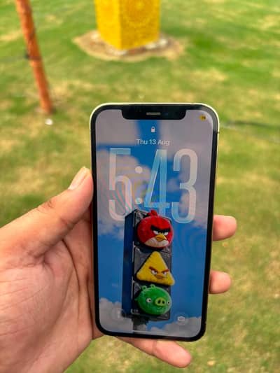 Apple iPhone 12 Pro