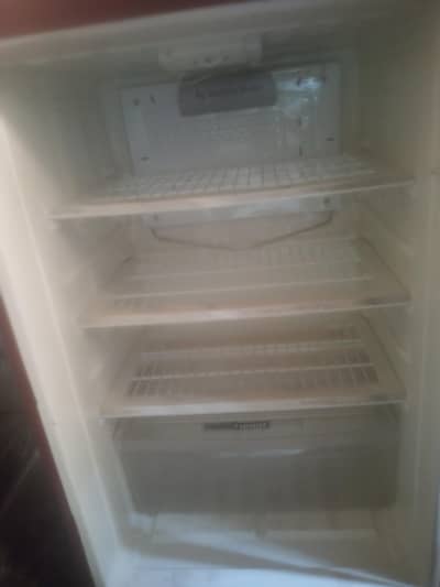 refrigerator+supplier