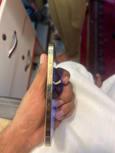 Apple iPhone 13 Pro