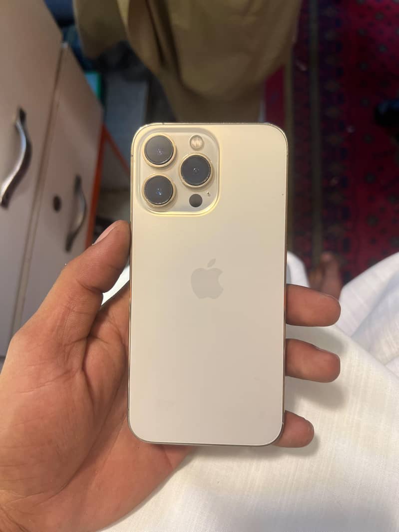 Apple iPhone 13 Pro 1