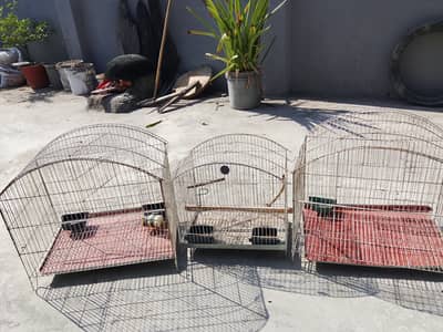 Bird cage