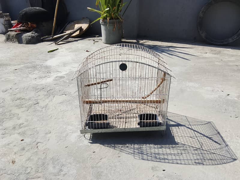 Bird cage 1