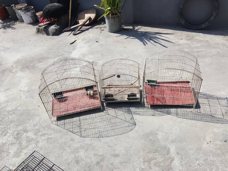 Bird cage 2