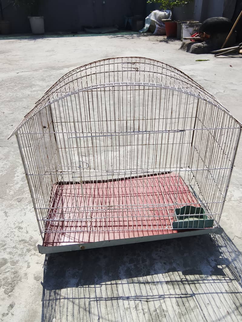 Bird cage 3
