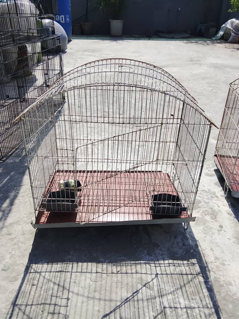 Bird cage 4