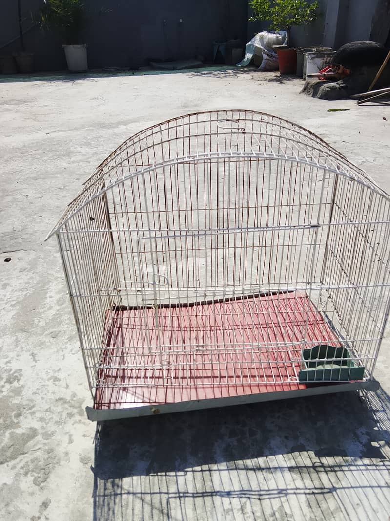 Bird cage 6