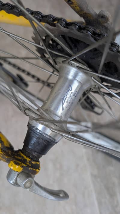 DBS imported cycle