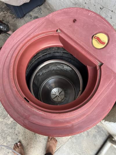 Dryer spinner for sale