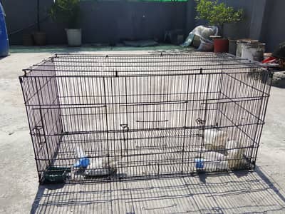Cages