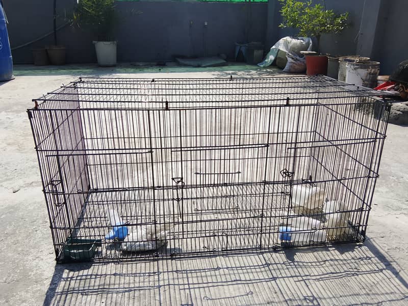 Cages 0