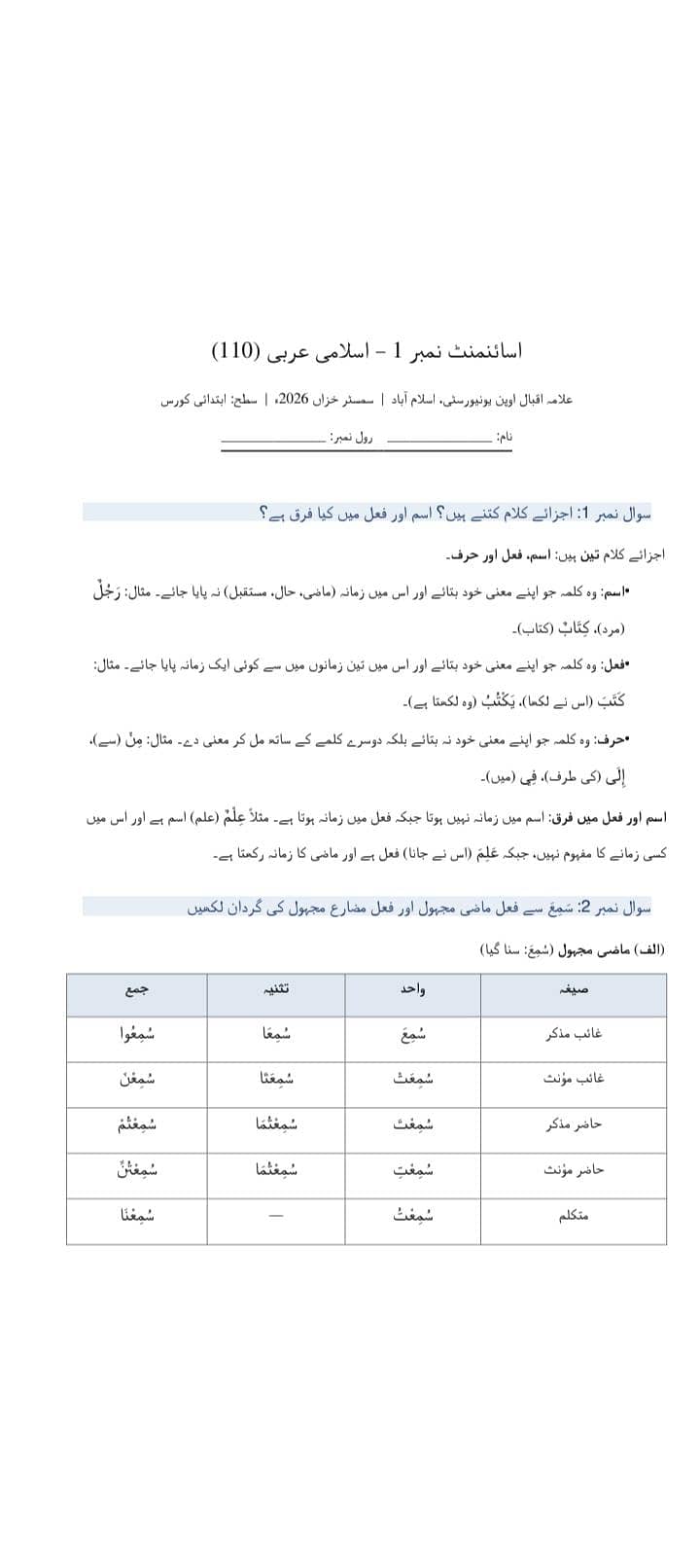 AIOU Assignment Help | Solved Assignments & Question Papers 0