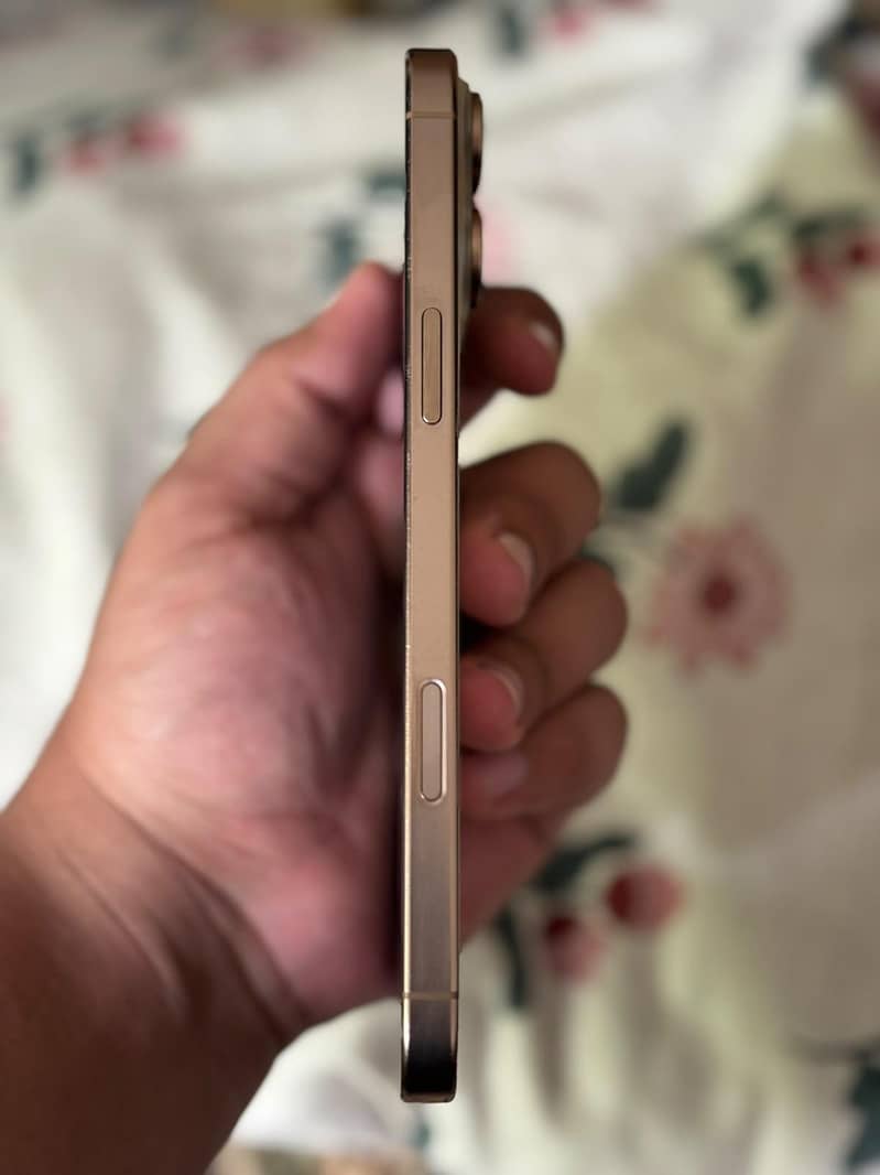 Apple iPhone 16 Pro Max 2