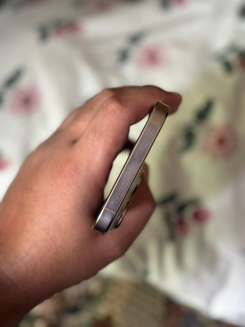 Apple iPhone 16 Pro Max 5