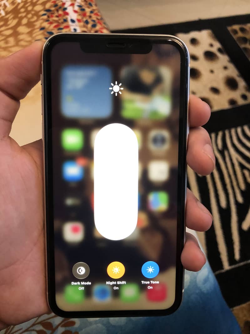 Apple iPhone 11 1