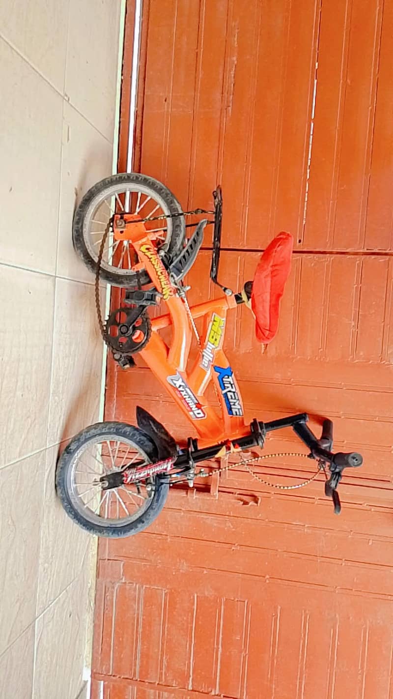 cycle 0