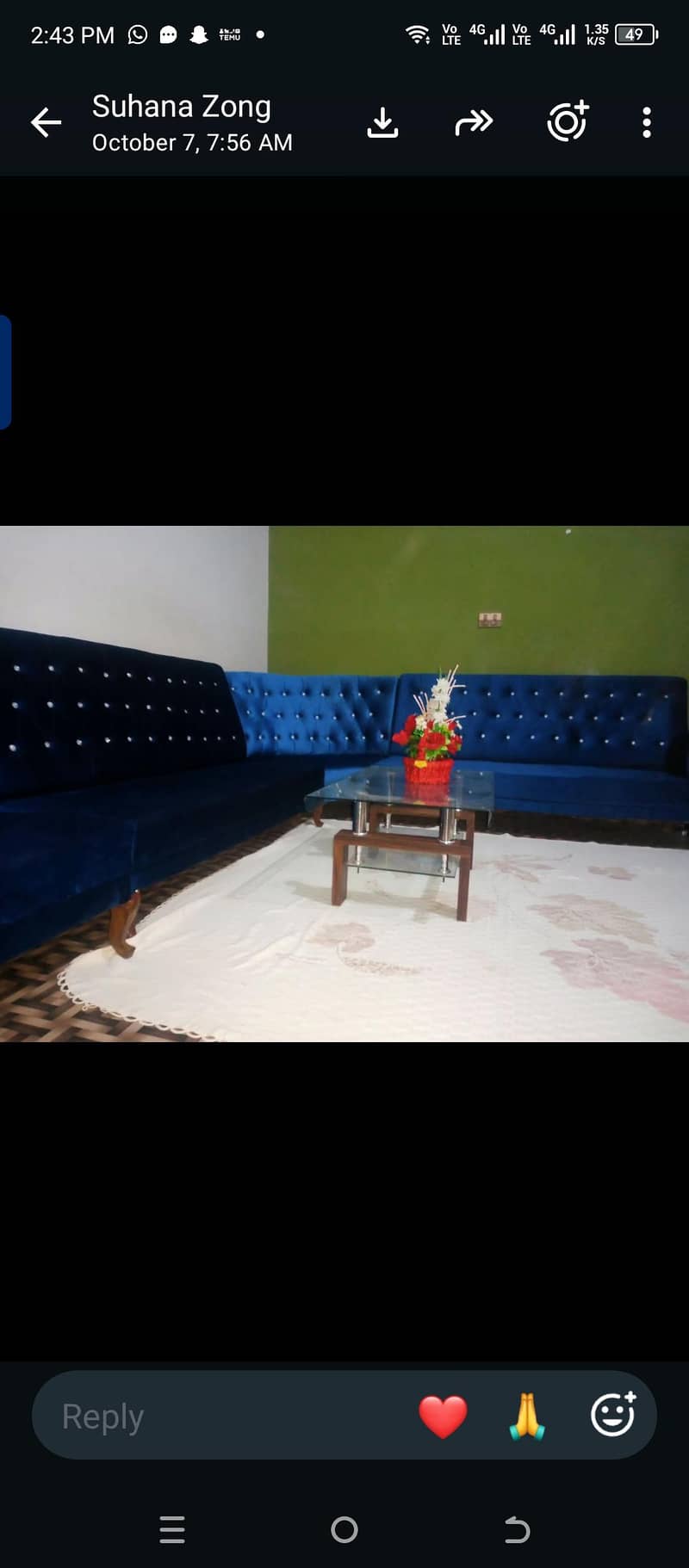 Sofa Set 0
