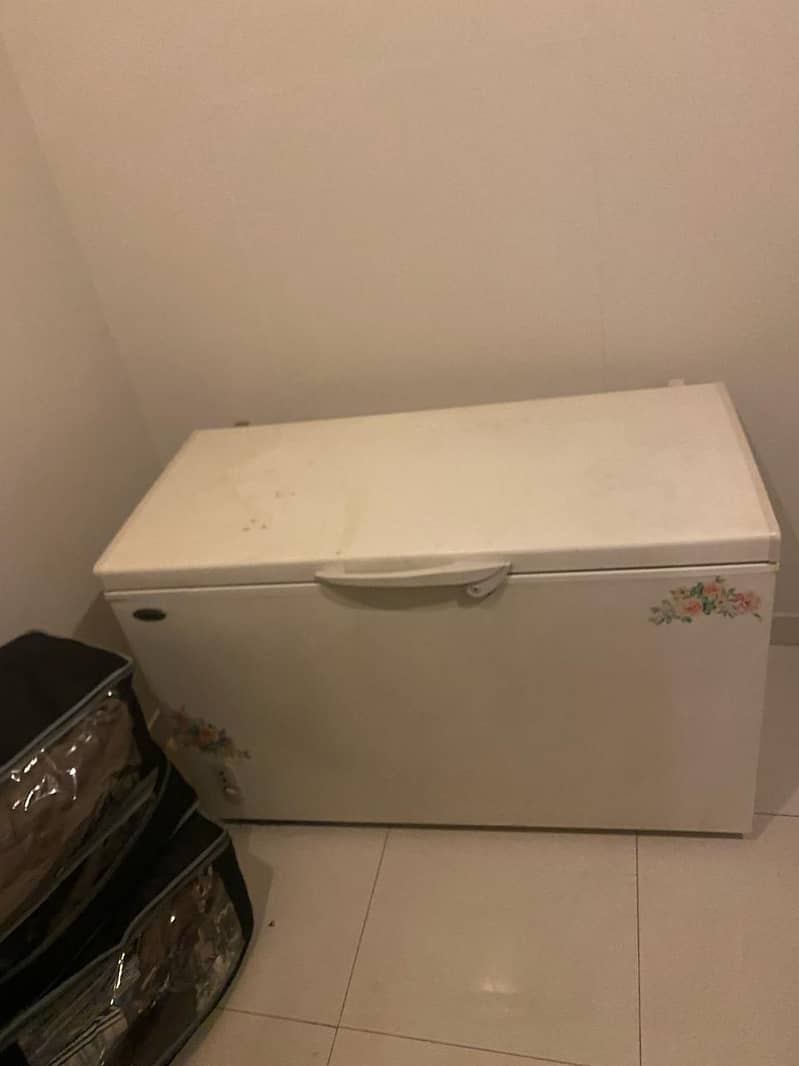 DEEP FREEZER 1