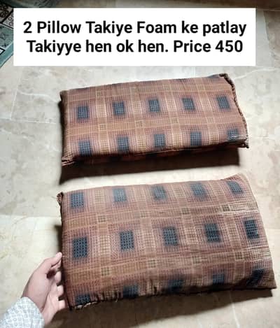 2 kids pillow hen