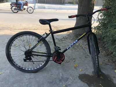 Phonix cycle