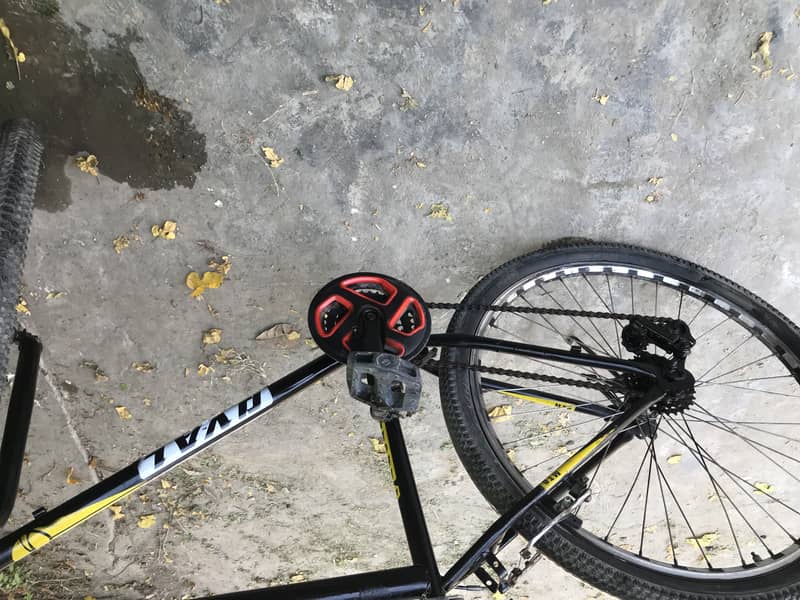 Phonix cycle 1