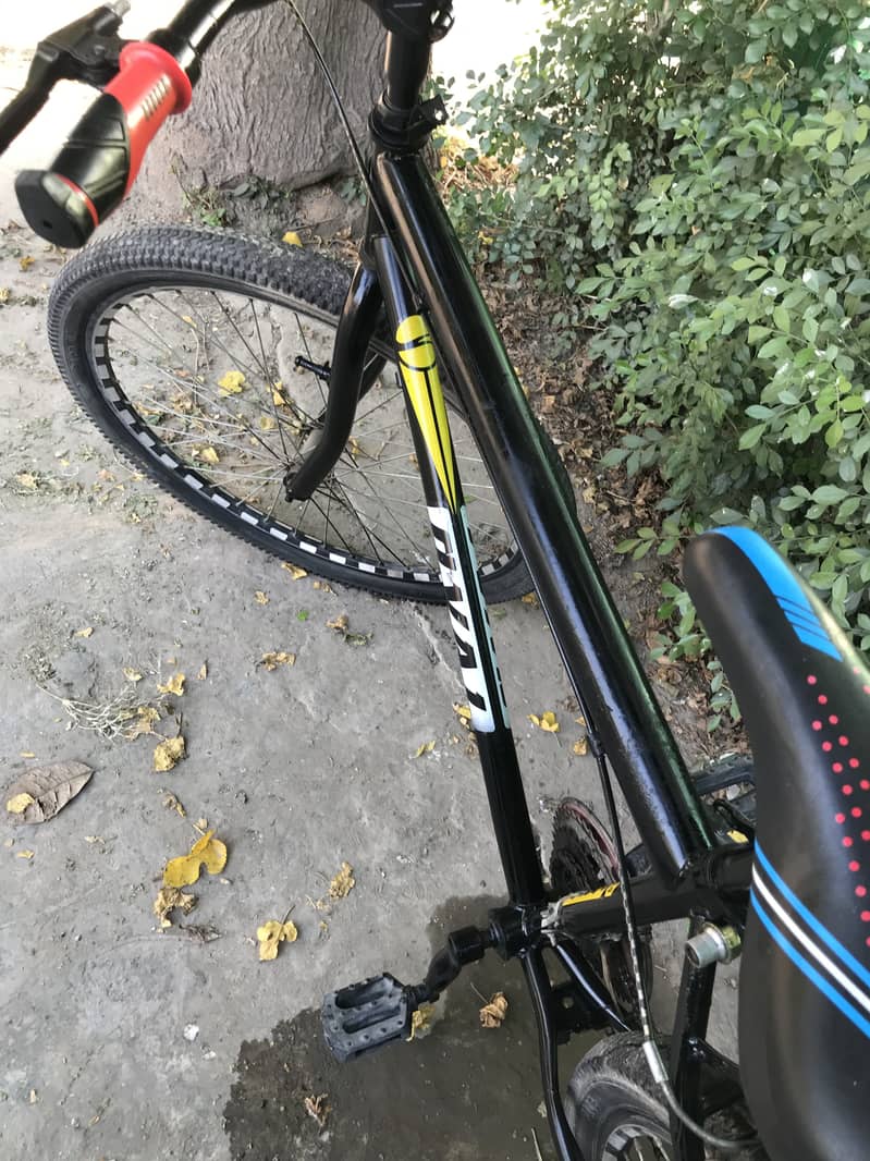 Phonix cycle 2