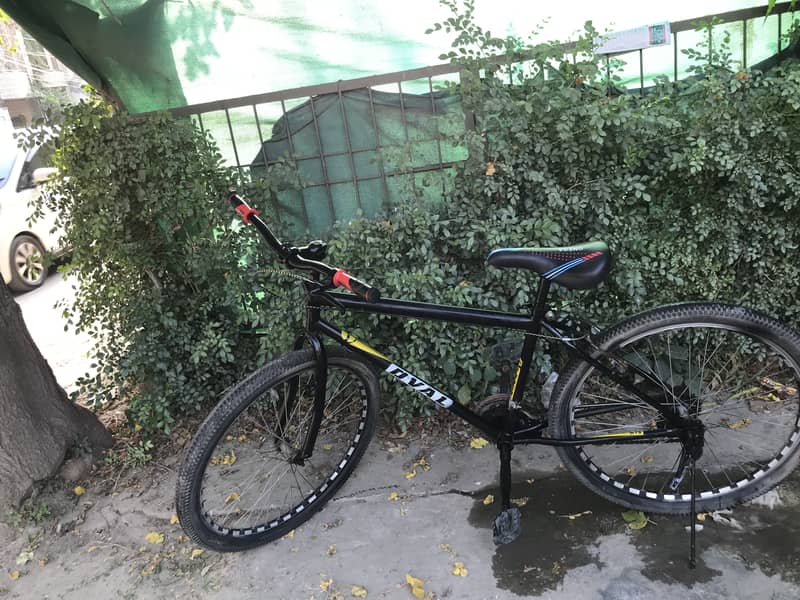 Phonix cycle 4