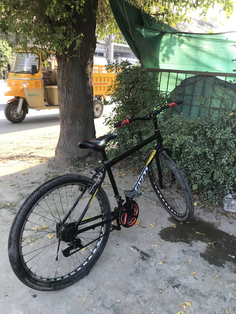 Phonix cycle 5