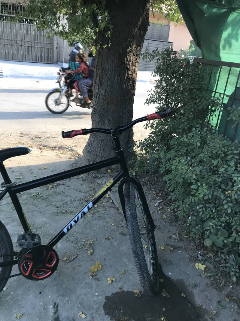Phonix cycle 6