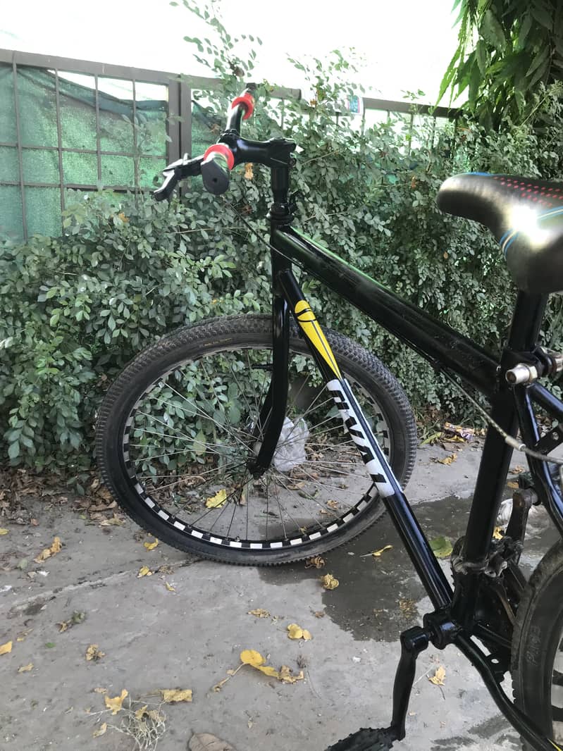 Phonix cycle 8