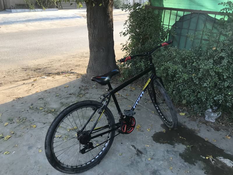 Phonix cycle 10