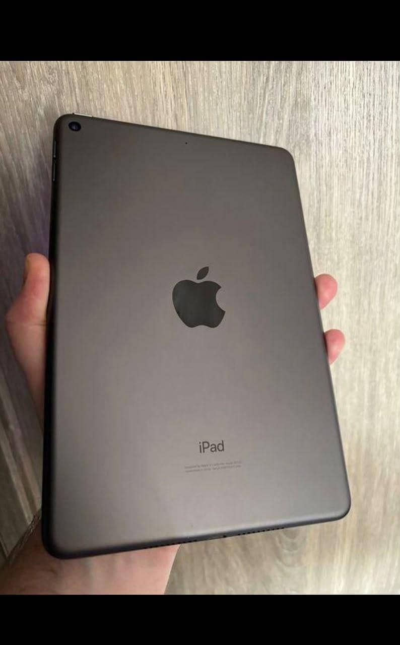 1pad 5th  mini 1