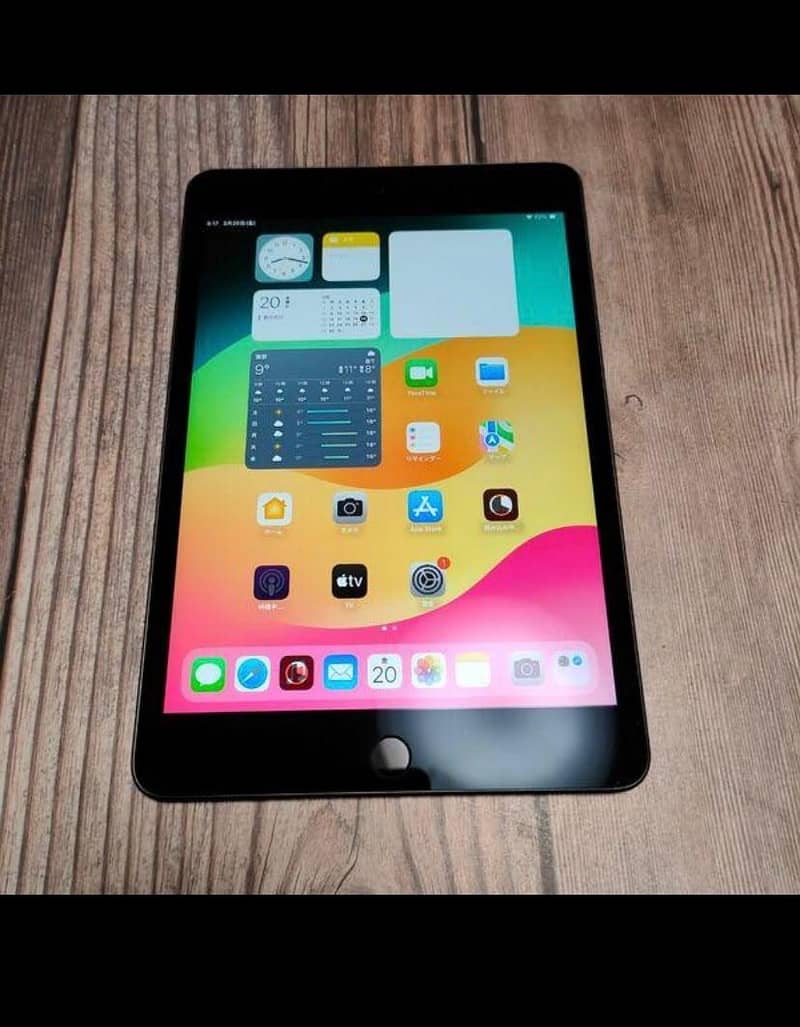 1pad 5th  mini 3