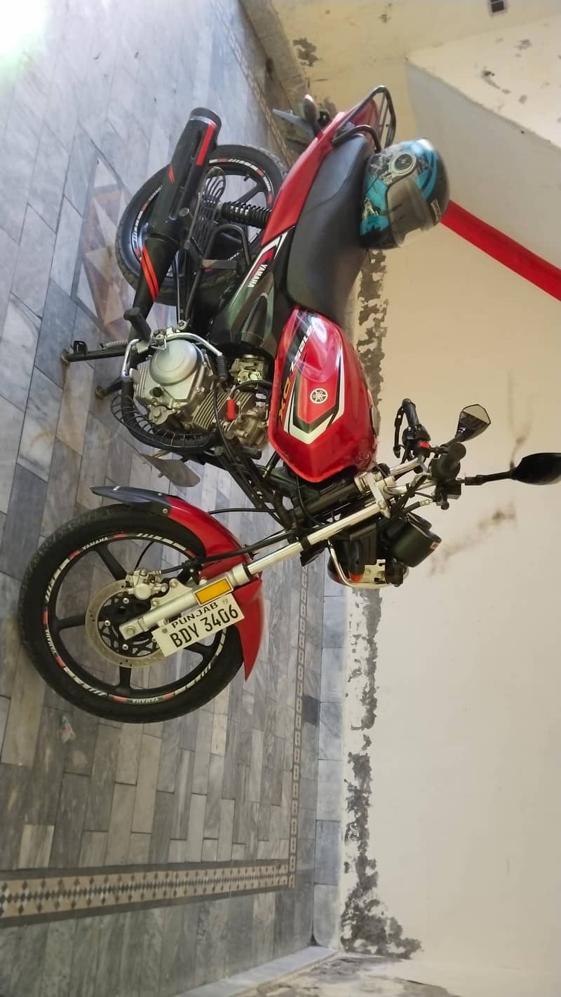 Yamaha YBDX 125cc - Standard Bikes - 1120594944