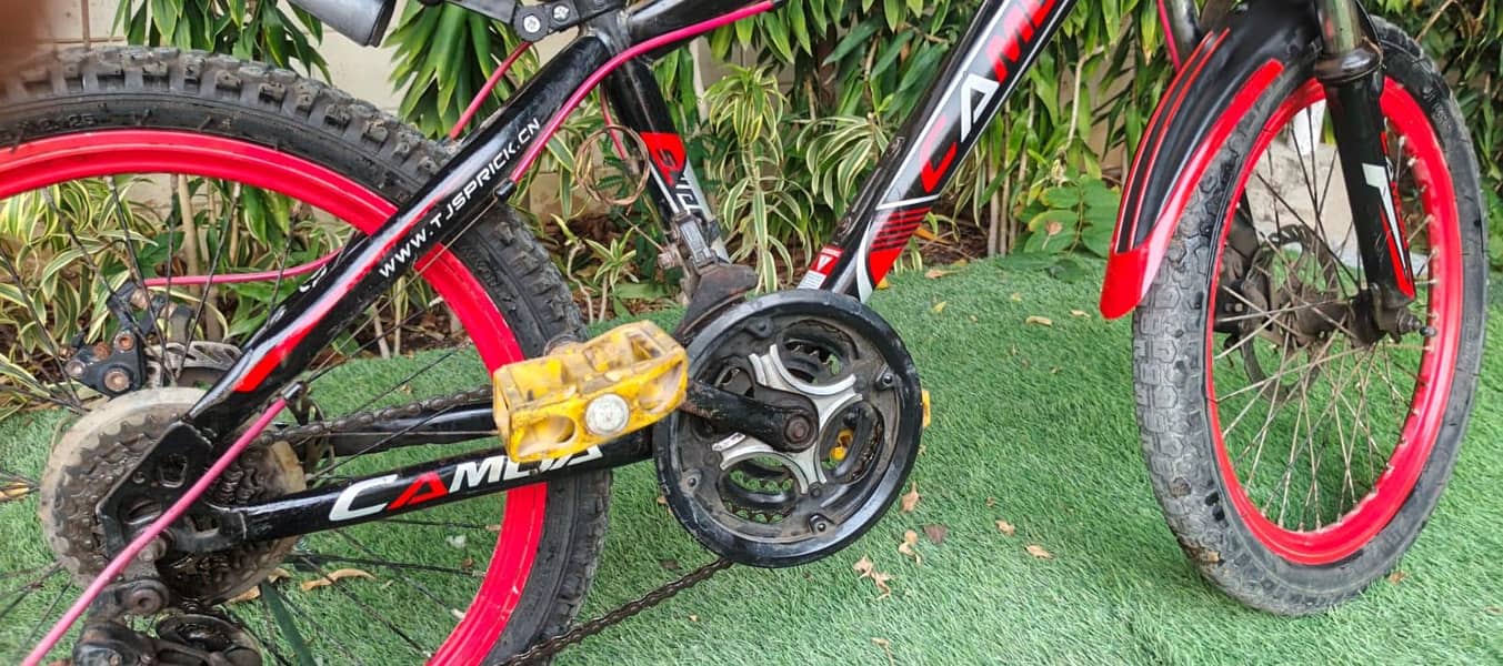 cycle Camda 7