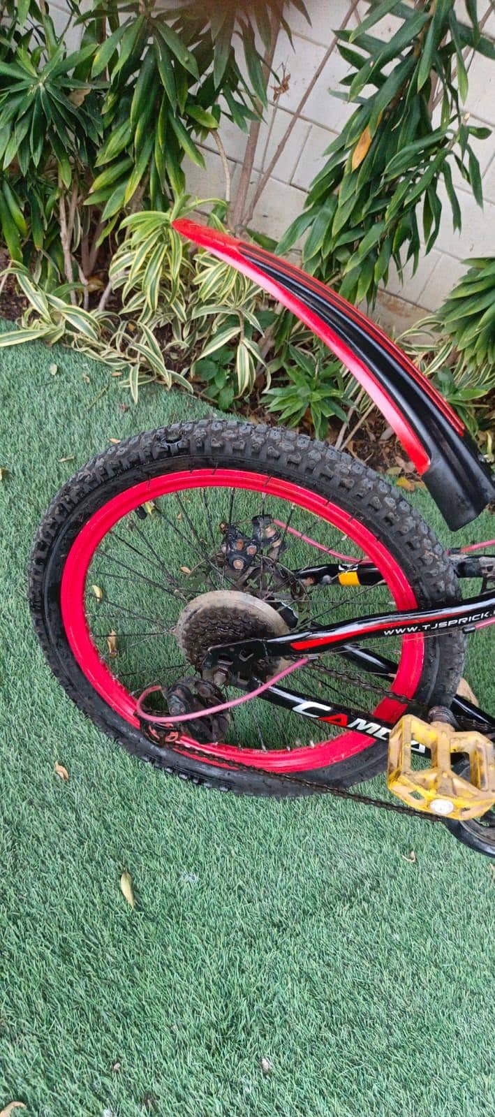 cycle Camda 10