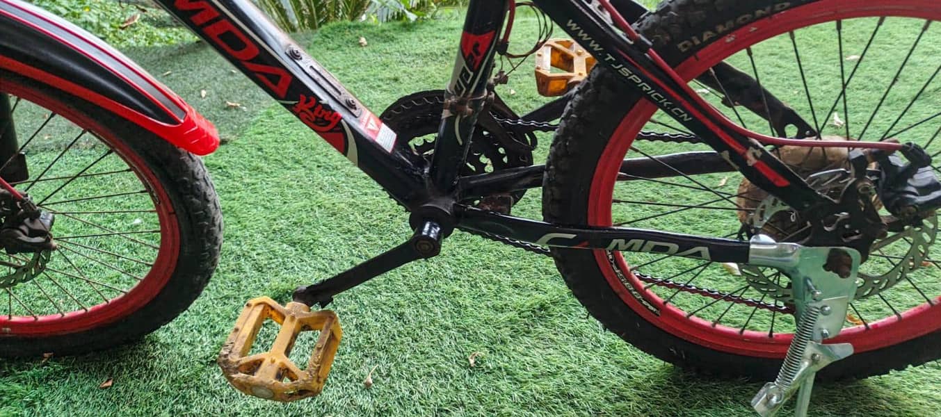 cycle Camda 11
