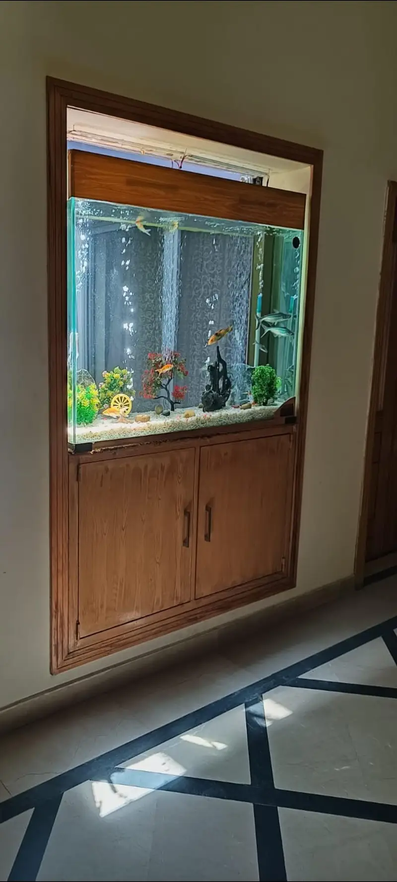 Fish aquarium for sale — photo 2