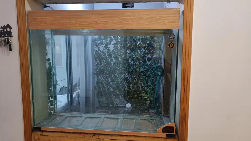 Fish aquarium for sale — photo 3