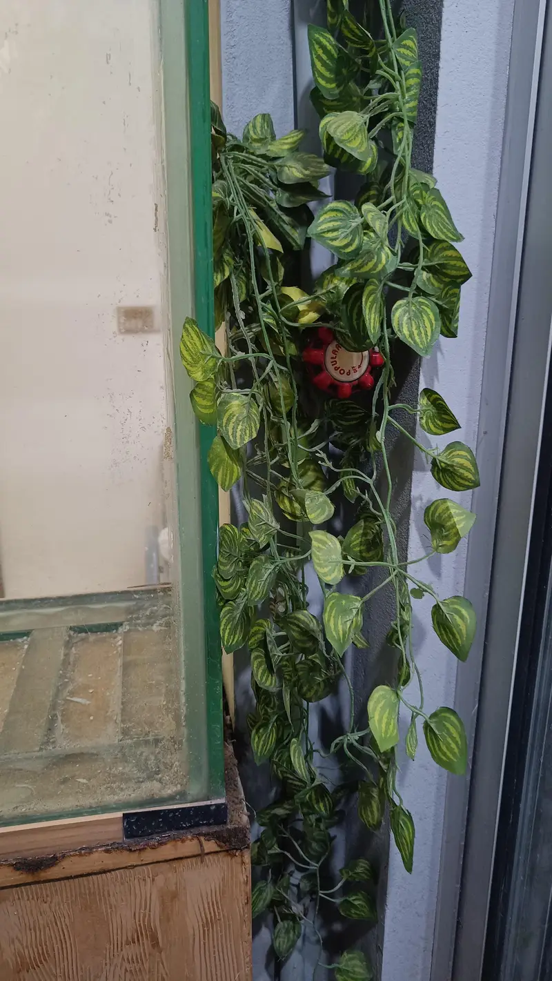 Fish aquarium for sale — photo 6
