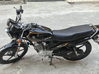 Yamaha YB 125Z-DX 2026 | Only 233 KM Driven | Brand New Condition