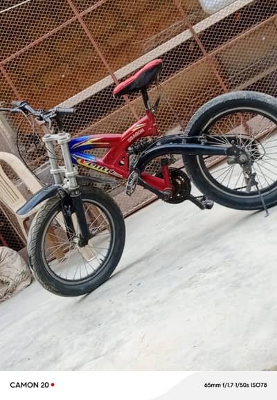 Sports Cycle