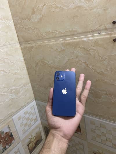 Apple iPhone 12 mini ALL OKAY waterpack