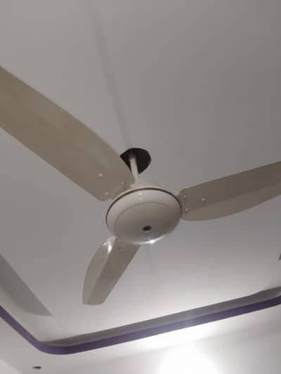 Noor Asia AC/DC Fan