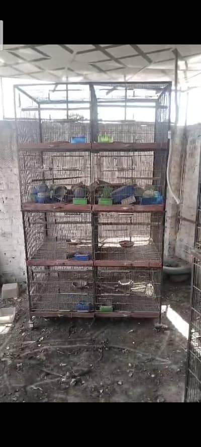 bird cages
